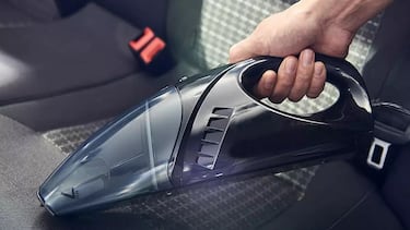 ¿Chinches en el auto? Cómo detectarlas y eliminarlas