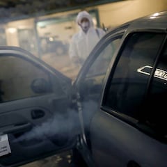 Coronavirus: ¿cuáles son los sectores de trabajo con más riesgo de muerte por COVID-19?