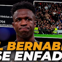 El elefante en la habitación de Vinicius