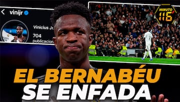 El elefante en la habitación de Vinicius