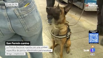 Una chica fue descubierta con una dosis de hachís.