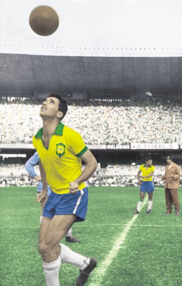 Profesional entre 1948 y 1964.