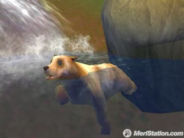 Captura de pantalla - simanwiiscrnswimmingbear_0.jpg