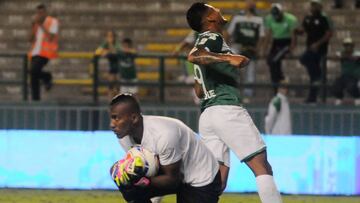 Cali y Junior miden fuerzas, por la Copa Sudamericana