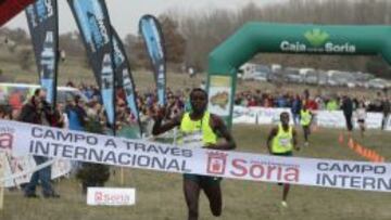 Toroitich, el gran favorito en Soria. 