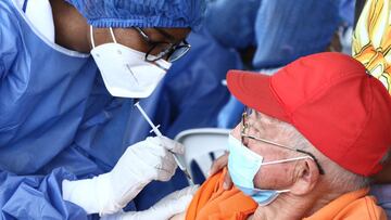 Descubren cuánto puede persistir la inmunidad contra el coronavirus