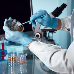 Plague case confirmed in California: What to know about symptoms and transmission