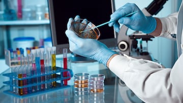 Residente de California da positivo a la peste: ¿Cuáles son los síntomas y qué tan peligroso es?