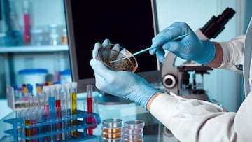 A scientist holding a petri dish in the lab with a monitor and microscope in background.