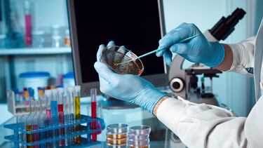 Residente de California da positivo a la peste: ¿Cuáles son los síntomas y qué tan peligroso es?