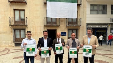 Elche se tiñe de blanco y verde