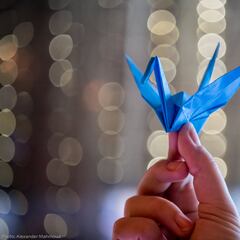 La ONG japonesa Nihon Hidankyo, premio Nobel de la Paz del 2024