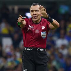 Un gato va por las Chivas