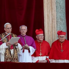 Not Irish or Italian ancestry: These are the surprising roots of Pope Leo XIV