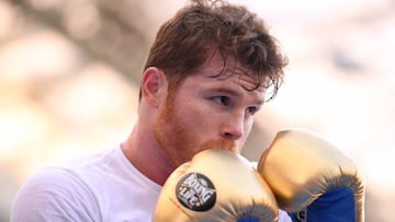 Canelo Álvarez no podrá utilizar sus guantes contra Gennady Golovkin