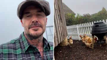 Así es el retiro ‘soñado’ de Beckham: muestra su vida rural rodeado de gallinas y un huerto