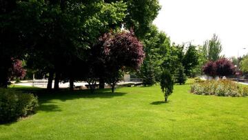 Imagen de un parque de Pozuelo de Alarcón (Madrid).