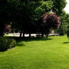 Las diez ciudades más ricas de España: siete están en Madrid