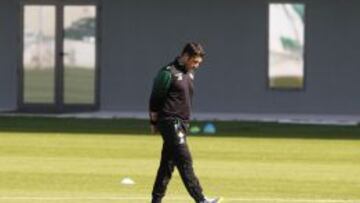 Julio Velázquez, técnico del Betis.