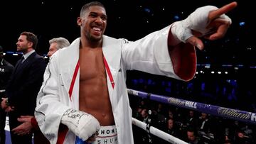 Joshua da un ultimátum a Wilder y la WBO postula a Usyk