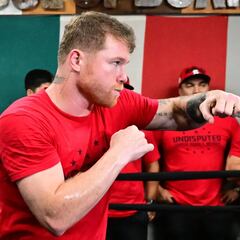 A ‘Canelo’ Álvarez le hubiera gustado pelear en la división Crucero