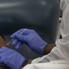 Coronavirus Argentina: ¿cómo será el plan de vacunación en el país y quiénes son los primeros en recibirla?