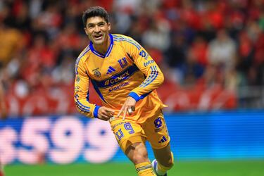 Tigres vs Houston Dynamo: TV, horario; cómo y dónde ver el partido  