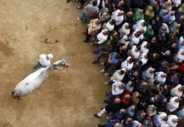 En Siena, desde mediados del siglo XVII, se celebra esta carrera de caballos a pelo con la intención de ganar el Palio, una bandera de seda que representa la Virgen con el Niño.