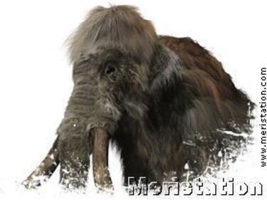 Syberia II, Impresiones (PC)