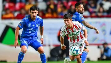 Cómo y dónde ver Necaxa vs Tigres canal y horario jornada 4 liga MX 