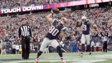 Danny Amendola complet&oacute; un magn&iacute;fico partido contra los Jets.