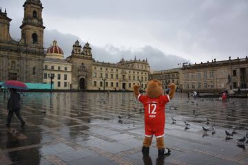 Berni, la mascota del Bayern de visita en Colombia