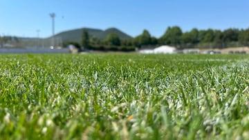 Césped nuevo en Ibaia.