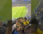 ¡Perrito bostero! Se cuela can en las tribunas de La Bombonera de Boca Jrs.
