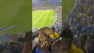 ¡Perrito bostero! Se cuela can en las tribunas de La Bombonera de Boca Jrs.