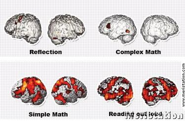 Training for Adults, Impresiones