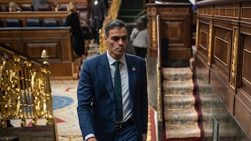 El presidente del Gobierno, Pedro Sánchez, durante una sesión plenaria, en el Congreso de los Diputados, a 28 de noviembre de 2024, en Madrid (España). Durante el pleno, han hablado de la relación con la ofensiva militar de Israel en Palestina y Líbano, tal y como venían reclamando desde octubre los socios del Ejecutivo, ERC y BNG.
28 NOVIEMBRE 2024;ORIENTE MEDIO;ALBARES;CONGRESO
Alejandro Martínez Vélez / Europa Press
28/11/2024