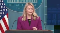Karoline Leavitt silences reporter over contradictory question on illegal immigrant deportations