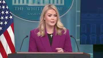 Karoline Leavitt silences reporter over contradictory question on illegal immigrant deportations