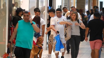 La noticia que esperan todos los trabajadores chilenos para el 2025: 1 de enero, sueldo mínimo y nuevo monto
