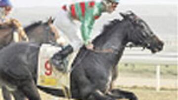 Etel Parade, de Madroños.