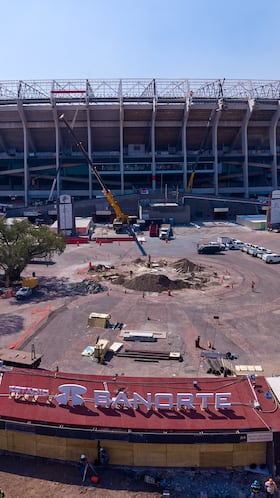 Nuevo patrón en el césped para el mundial