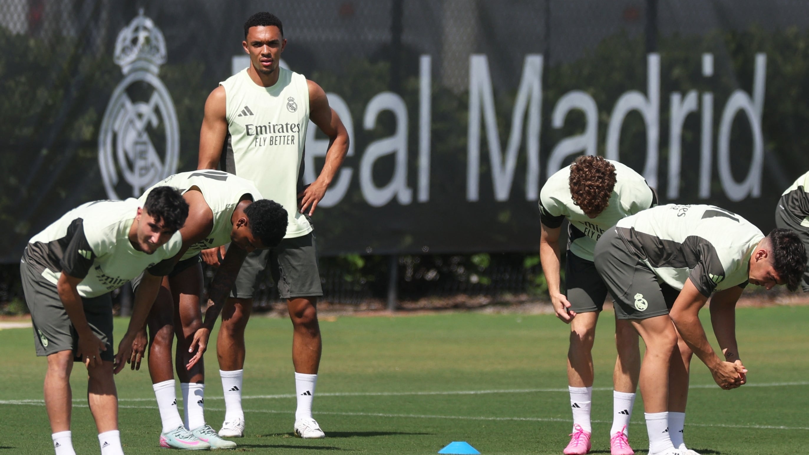 Impacto Trent