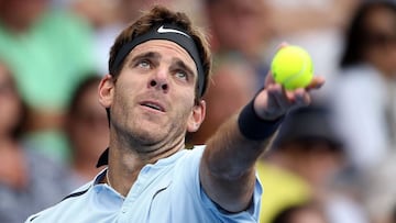 Del Potro saca a Carreño del 'Top 10' que lidera Nadal