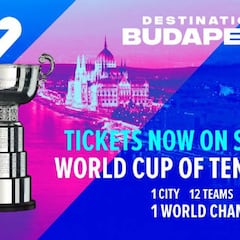 Frenazo a las Fed Cup Finals: aplazadas por el coronavirus