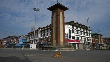 A dog rests during a lockdown imposed by authorities after a sudden surge of COVID-19 coronavirus cases in Srinagar on July 13, 2020. (Photo by TAUSEEF MUSTAFA / AFP)