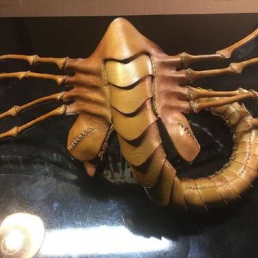 Crean una mascarilla inspirada en la película Alien