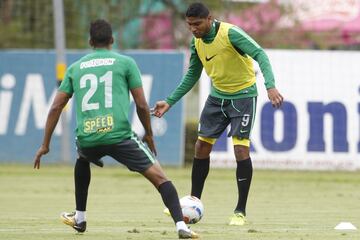 Nacional y Once Caldas juegan el lunes en el Palogrande Manizales, por la fecha 15 de la Liga Águila II-2017.