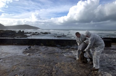 Voluntarios y trabajadores recogen el fuel de las playas. 