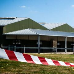 El visón, en el punto de mira: contagiados por sus criadores
en dos granjas de los Países Bajos